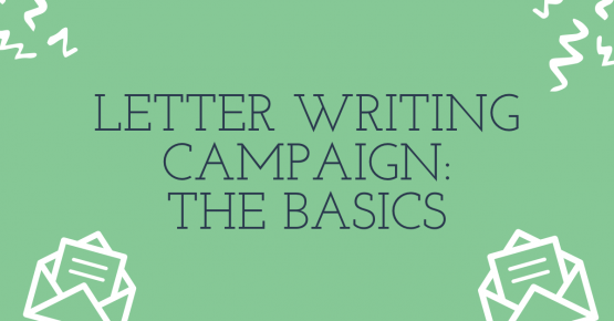 Letter Writing Campaign: The Basics – Classmunity